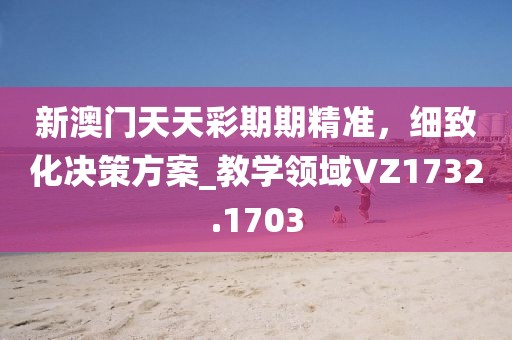 新澳门天天彩期期精准，细致化决策方案_教学领域VZ1732.1703