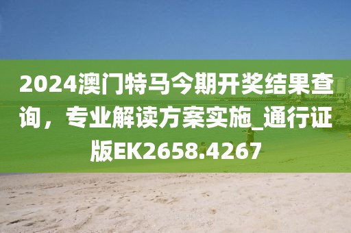 2024澳门特马今期开奖结果查询，专业解读方案实施_通行证版EK2658.4267