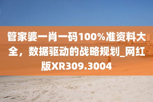 管家婆一肖一码100%准资料大全，数据驱动的战略规划_网红版XR309.3004
