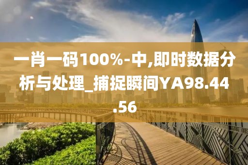 一肖一码100%-中,即时数据分析与处理_捕捉瞬间YA98.44.56