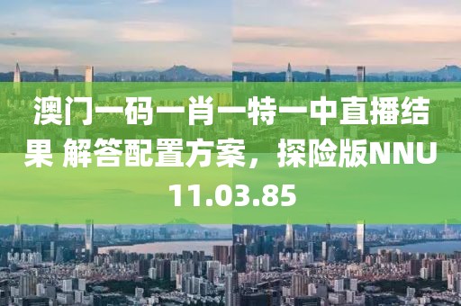 澳门一码一肖一特一中直播结果 解答配置方案，探险版NNU11.03.85