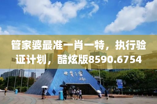 管家婆最准一肖一特，执行验证计划，酷炫版8590.6754