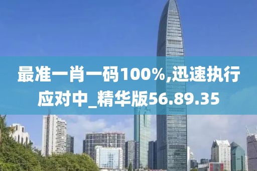 最准一肖一码100%,迅速执行应对中_精华版56.89.35