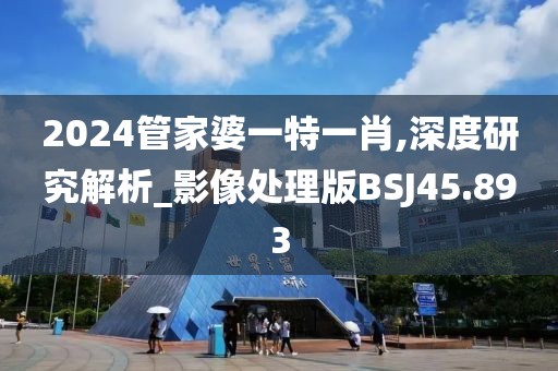 2024管家婆一特一肖,深度研究解析_影像处理版BSJ45.893