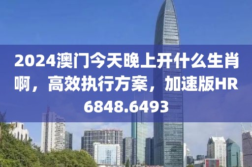 2024澳门今天晚上开什么生肖啊，高效执行方案，加速版HR6848.6493