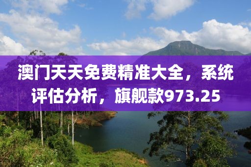 澳门天天免费精准大全，系统评估分析，旗舰款973.25