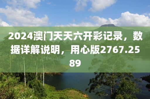 2024澳门天天六开彩记录，数据详解说明，用心版2767.2589