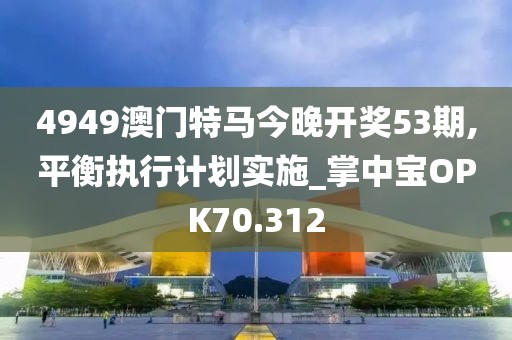 4949澳门特马今晚开奖53期,平衡执行计划实施_掌中宝OPK70.312