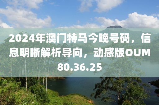 2024年澳门特马今晚号码，信息明晰解析导向，动感版OUM80.36.25