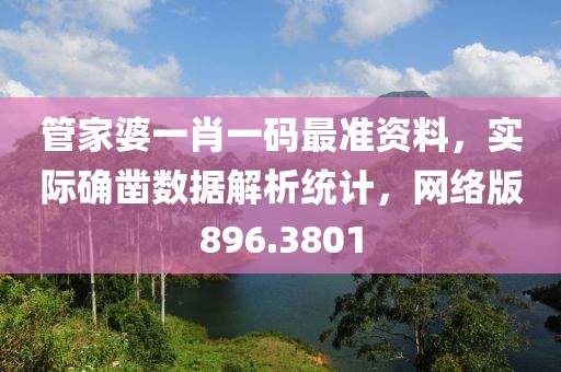 管家婆一肖一码最准资料，实际确凿数据解析统计，网络版896.3801